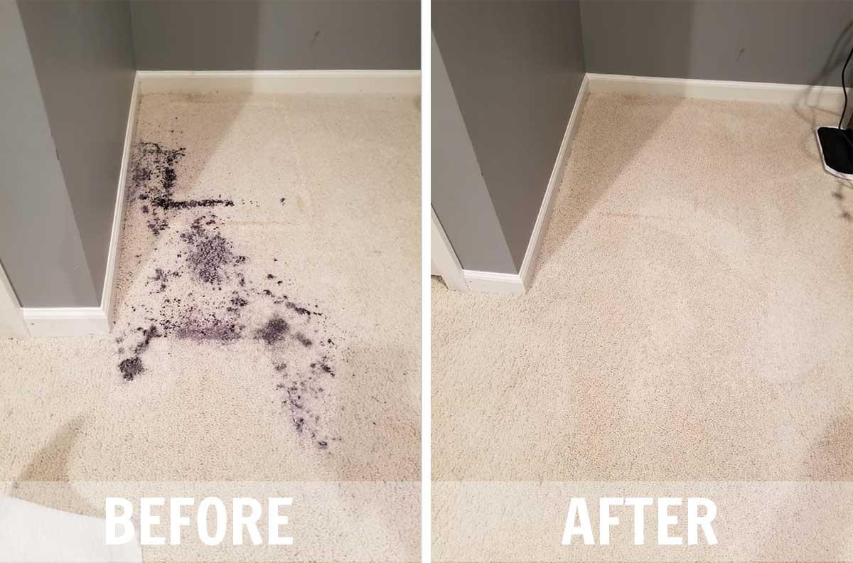 Before after carpet